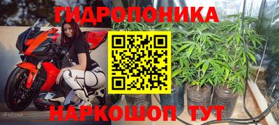 первитин Будённовск