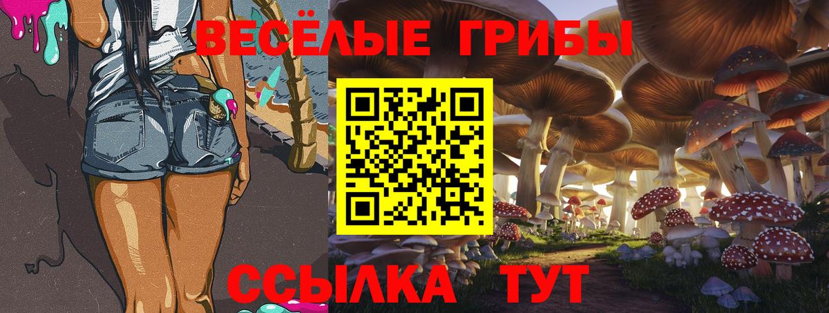 Галлюциногенные грибы прущие грибы Чайковский